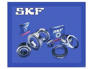 SKF Rulman (Sweden)