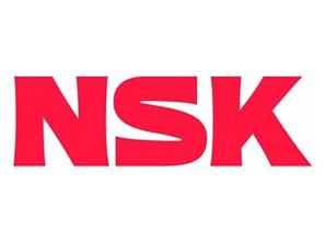 NSK Rulman (Japan)